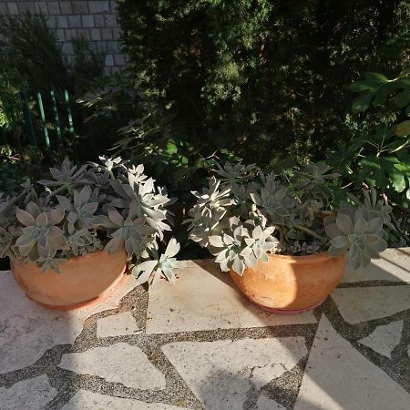 Apartment Quiet Bay Neum Bagian luar foto