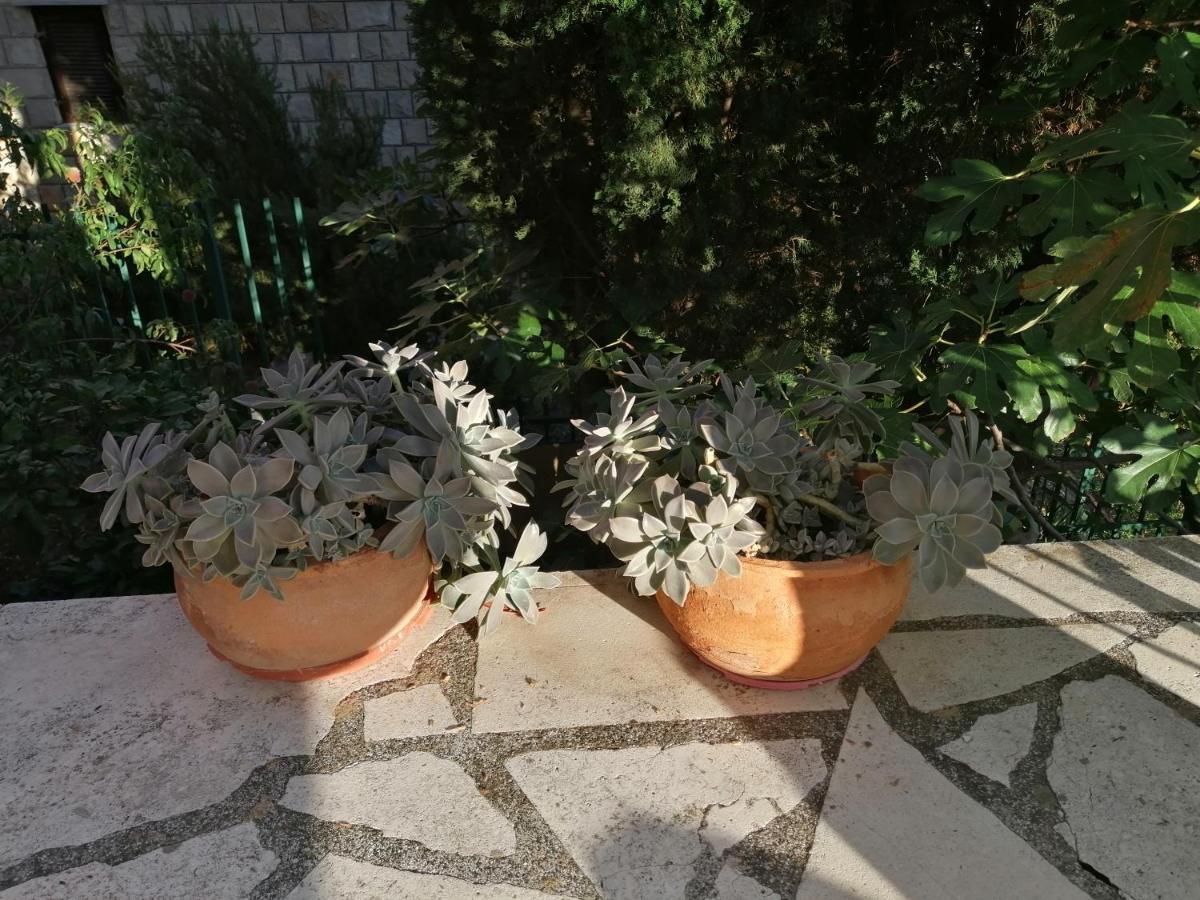 Apartment Quiet Bay Neum Bagian luar foto